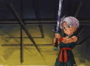 trunks107.jpg